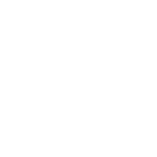 customer service icon