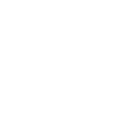 money form icon
