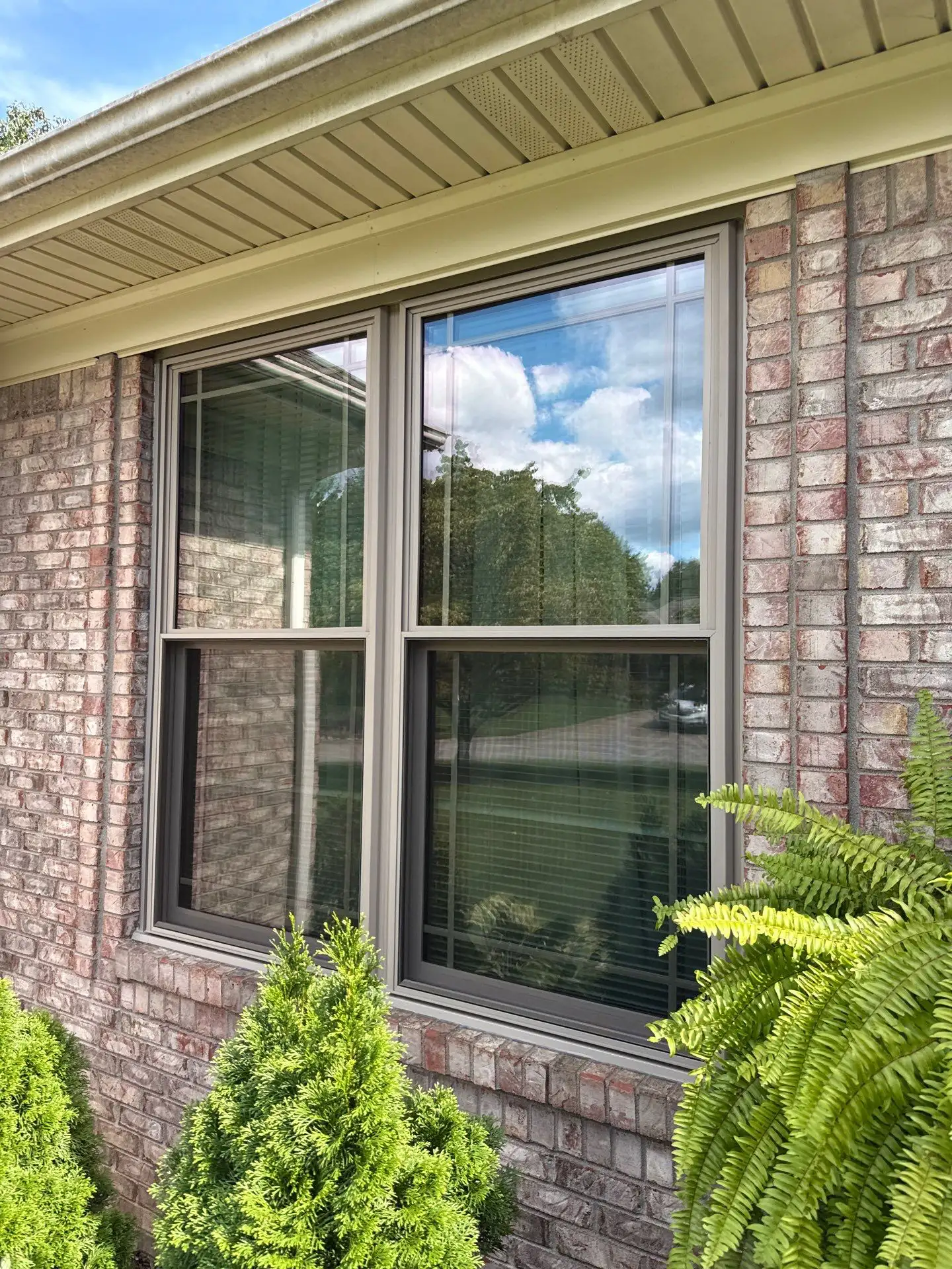9424233e-f2d1-4301-9431-202650931648 new window installation by Enterprise Home Solutions