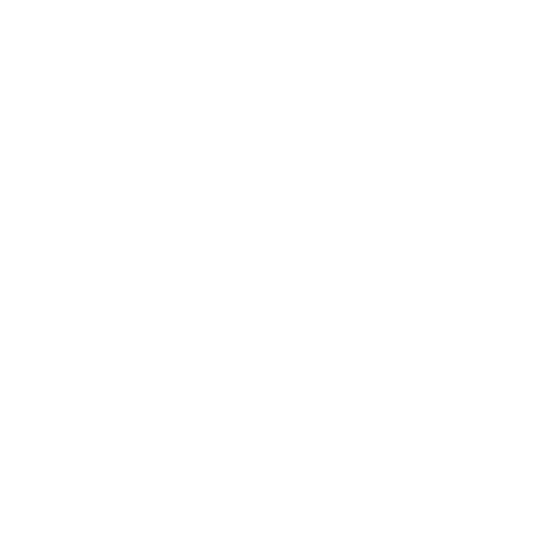 chat icon