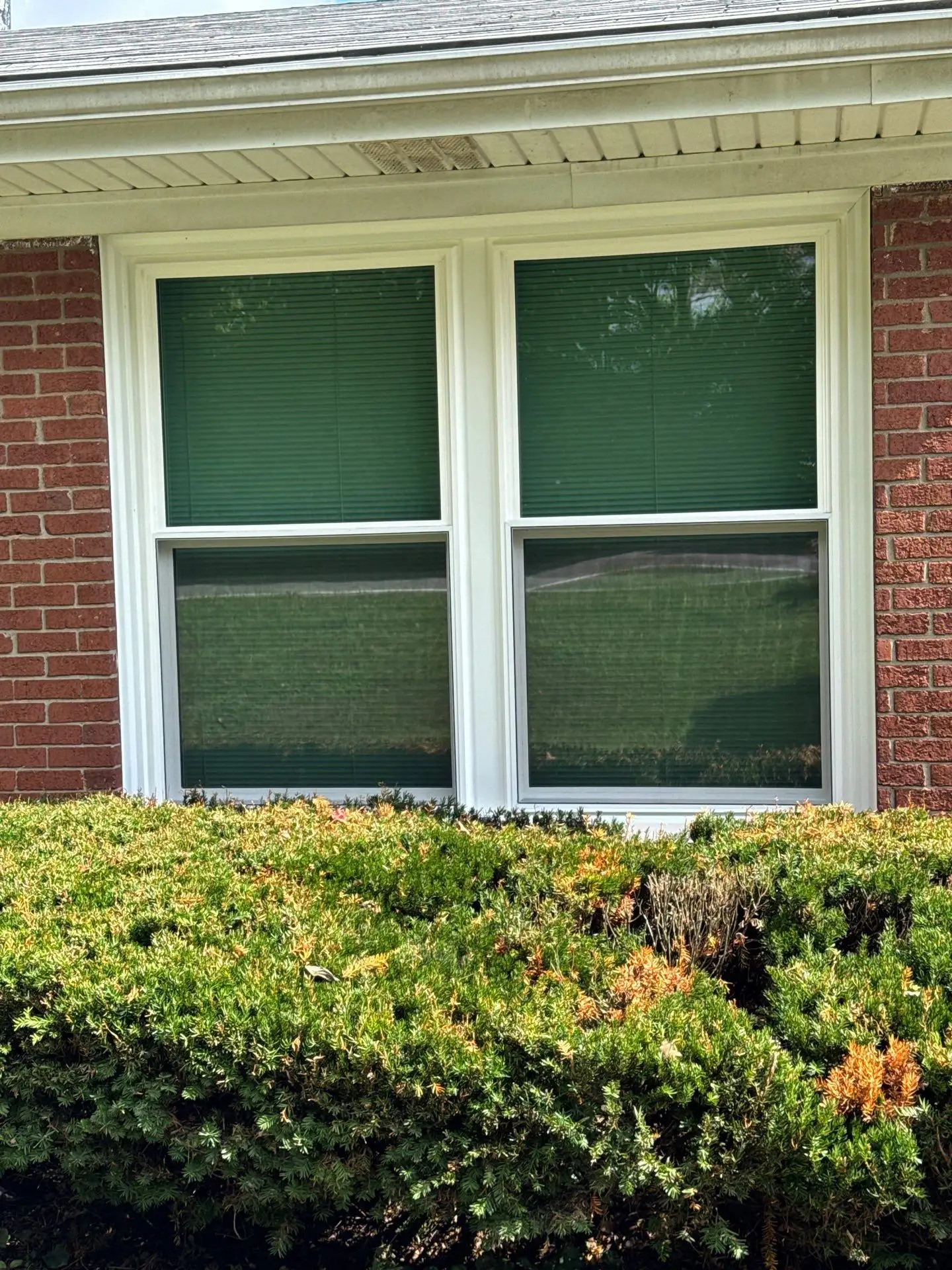 window20 new window installation by Enterprise Home Solutions